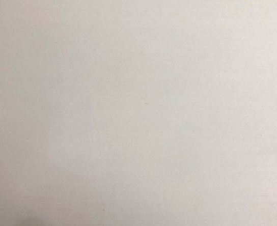 迪奥白